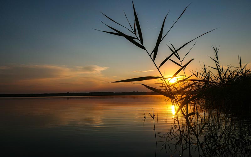 Lausitzer Seenland